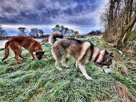 Clee Veterinary Centre