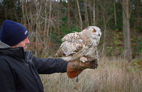 Strathblane Falconry