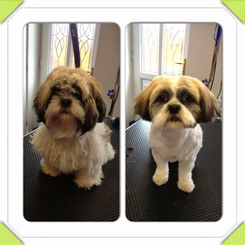 Doggy Styles Dog Grooming Parlour