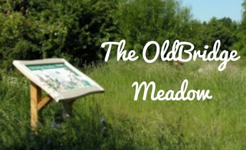 Old Bridge Meadow