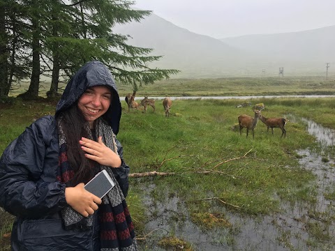 Experience Scotland's Wild