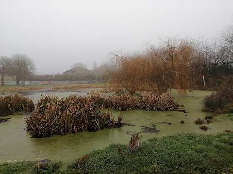 Ainslie Recreation Ground