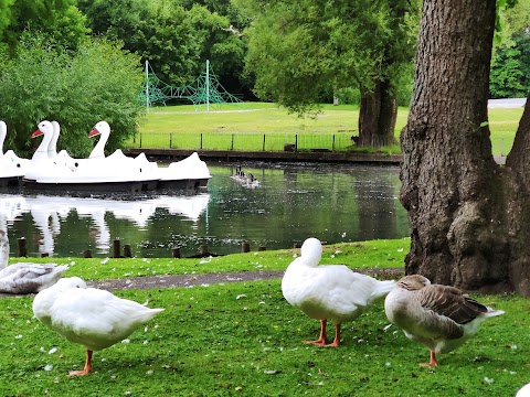 Singleton Park Boating Lake