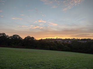 Selsdon Wood