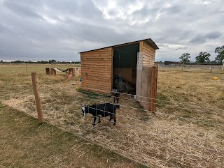 Wolvey Caravan & Camping Park