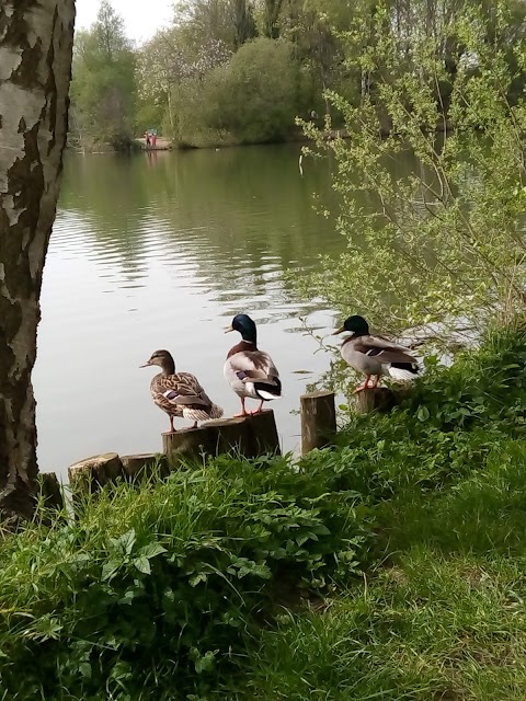 Charnwood Water Car Park