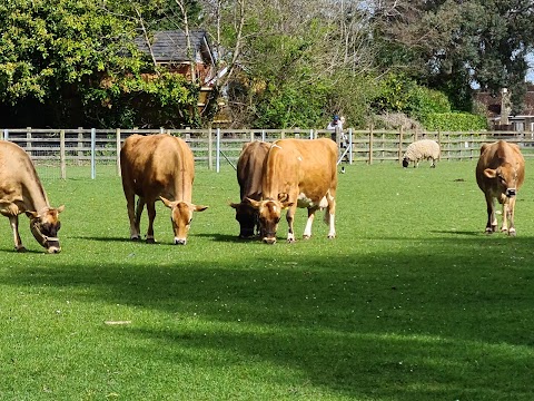 Sheldon Country Park