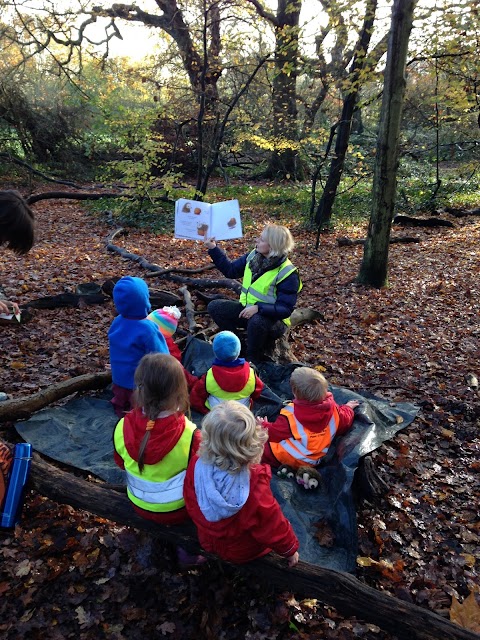 The North London Forest School Nursery