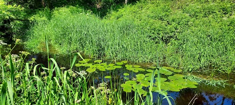 Linwood Riverside Walk