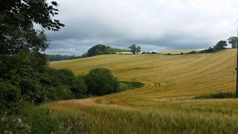 The Mill at Ballydugan