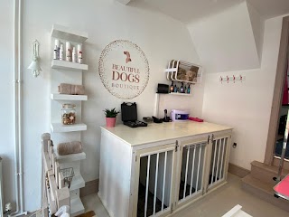 Beautiful Dogs Boutique