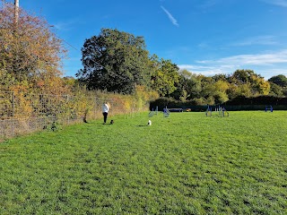 Hounds & Bounds Paws Paddock secure dog field