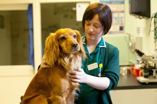 Braid Vets, Dalkeith