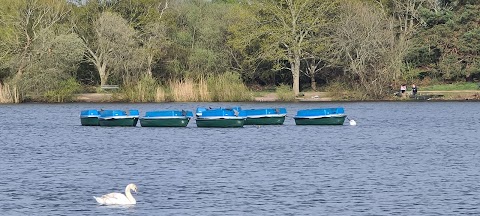 Petersfield Boats