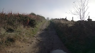 Yorkshire Rabbit Boarding