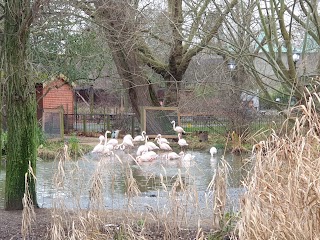 Three Island Pond