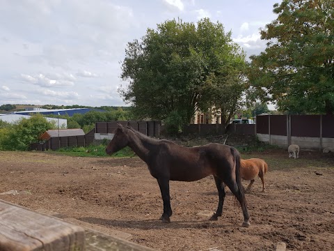 Pimhole Community Farm