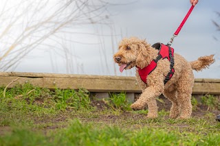 We Love Pets Calder Valley