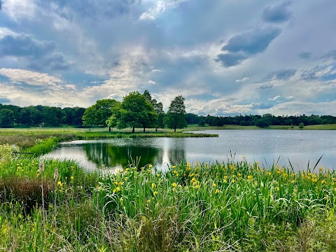 Tatton Park