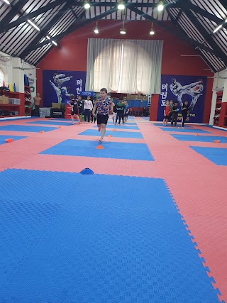 Premier Taekwondo