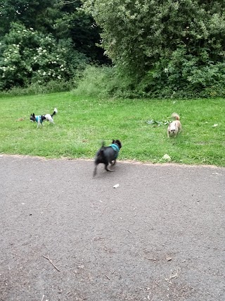 Rectory Park Play area