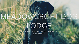 Meadowcroft Dog Lodge