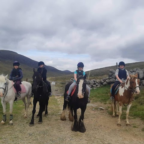 Gamekeepers Lodge Equestrian Centre