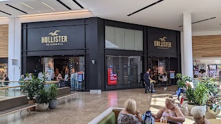 Hollister Co.