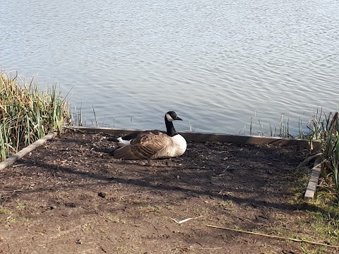 Poolsbrook Country Park