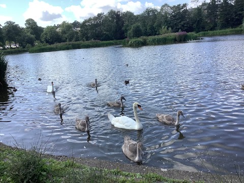 Bingham's Pond