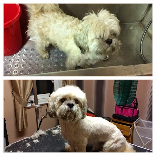 Oscars Dog Grooming