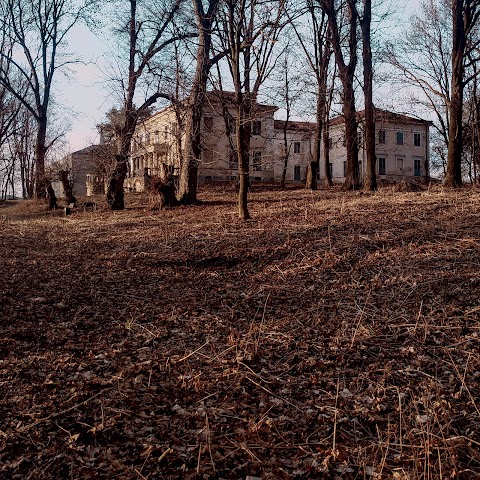 Палац Лянцкоронських