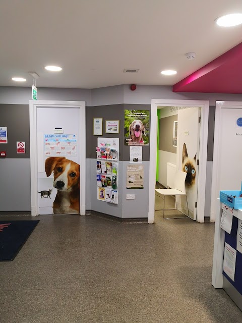 Vets4Pets - Bristol Kingswood