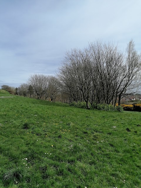 Hunts Park Water Tower