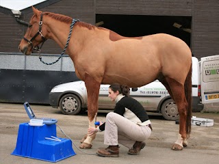 Wrexham Equine Care