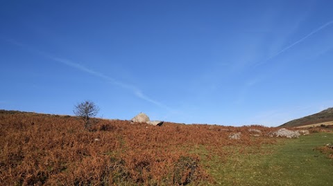 Dartmoor Financial LLP