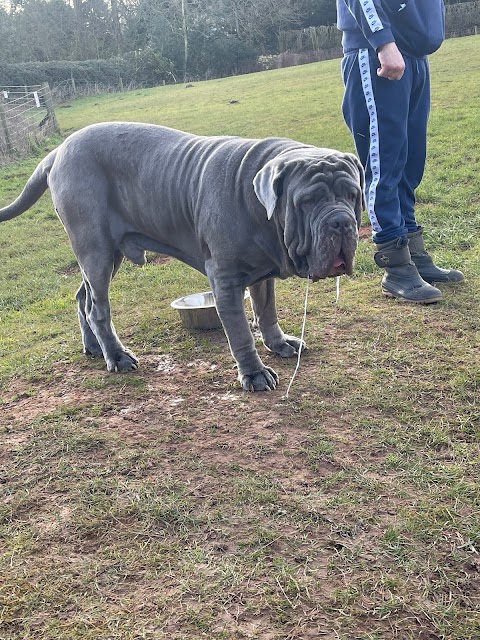 Horsepool Farm Dog Park