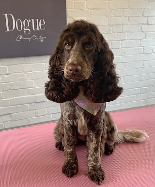 Dogue Grooming Boutique