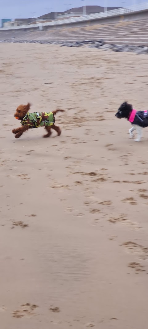 Aberavon beach