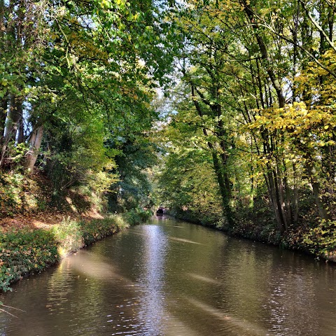 Anglo Welsh Waterway Holidays