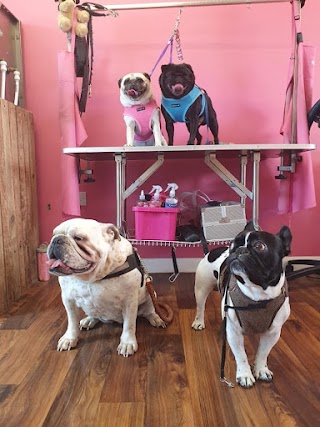 Stinky Paws Pet Parlour