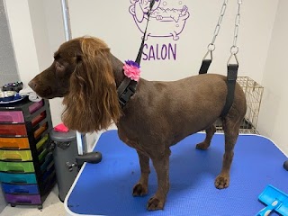 Perfect Pawz Dog Grooming