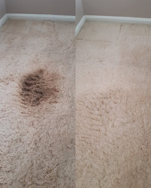 Carpetmonsters-carpet-cleaning-services