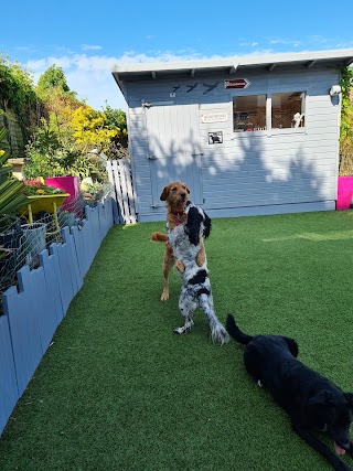 The Spaniel Hotel