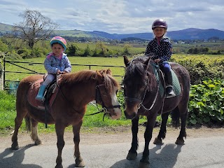 Killegar Stables