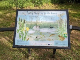 Selby Wildlife Pond