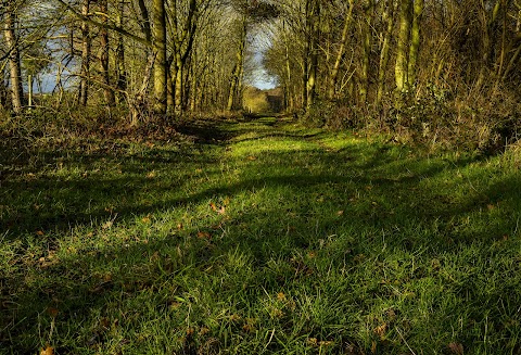 Langold Country Park