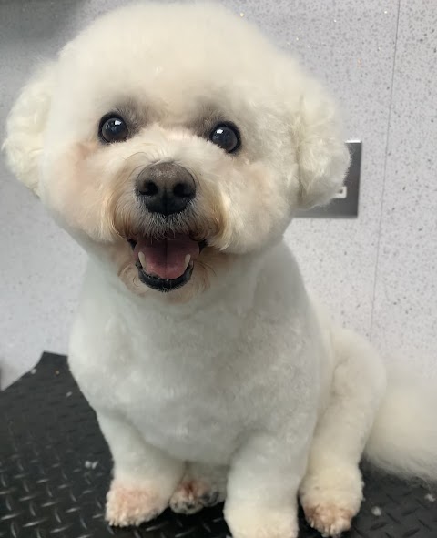 Bijou Dog Groomer Shelle Murray