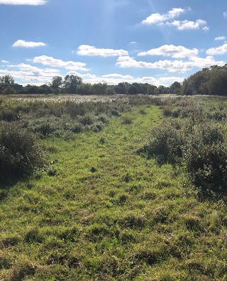 Coley water meadows