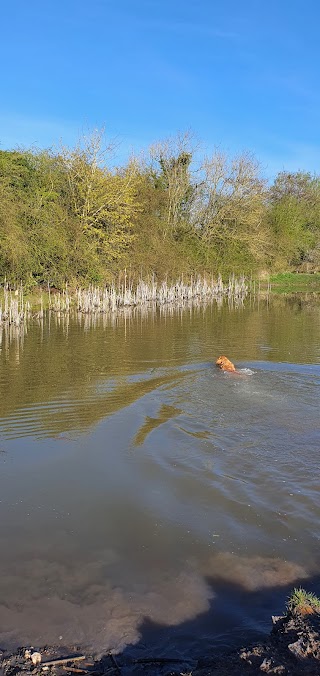 Dog Pond - Cotgrave Country Park